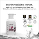 DR.RASHEL Onion Shampoo with Black Seed Oil Promotes Healthy Scalp & Breakage Free Hair (250 ml) Dr. Rashel
