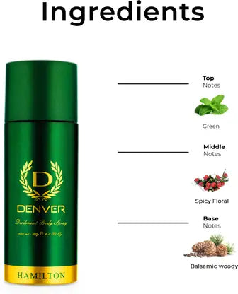 DENVER Hamilton Deodorant Spray - For Men  (200 ml) Beauty Bumble