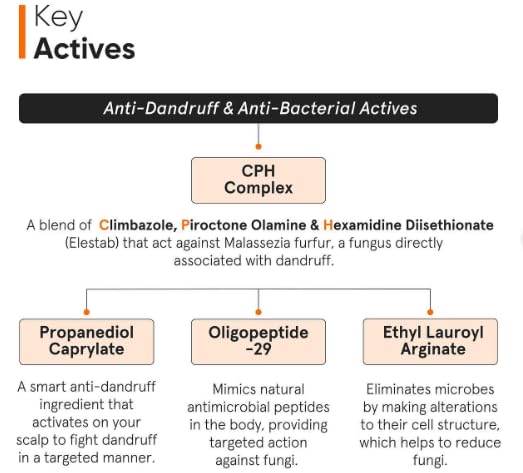 Minimalist Anti-Dandruff Hair Serum for Scalp | Pre Shampoo Treatment with CPH Complex & Oligopeptide 0.8% | With Elestab Advanced Anti Dandruff Molecule | For Women & Men | 50ml Minimalist