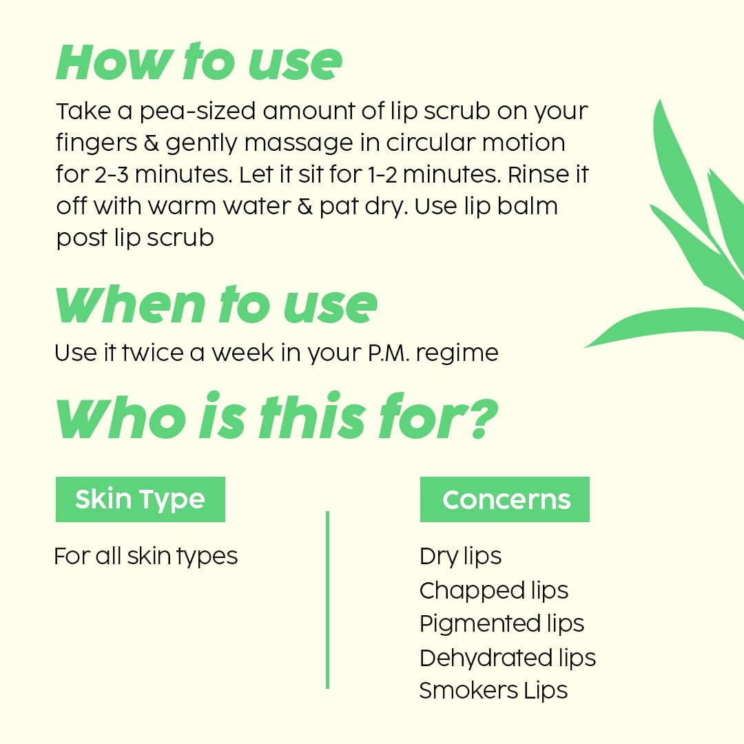 Plix Pomegranate Bright Lips 15g PLIX