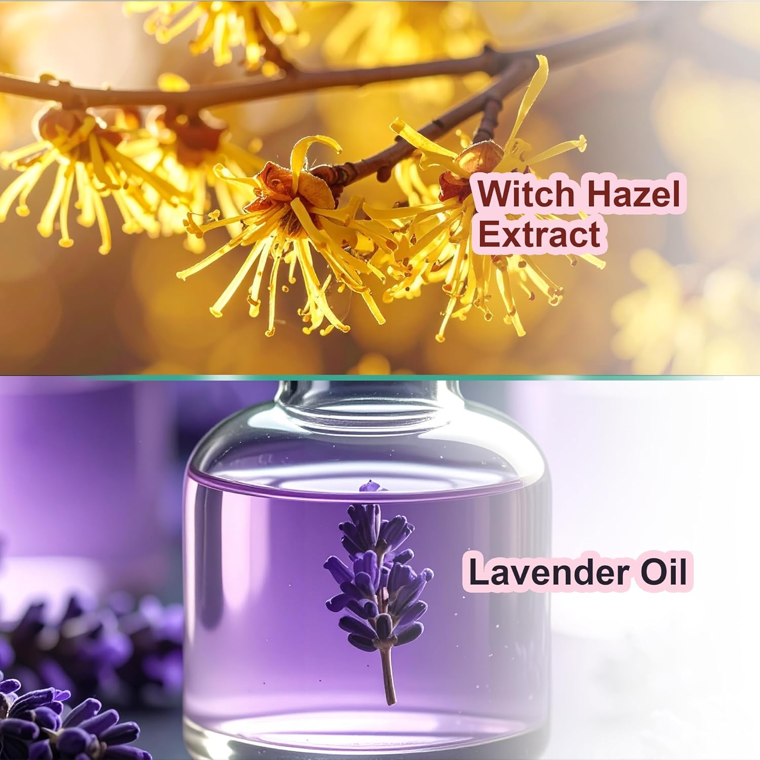 Aureana Essentiel Face Scrub (50g) | 100% Veg, Sulphate Free, Paraben Free, Hypoallergenic, Dermatologically Tested | Quality ingredients with great texture | Efficacious formulations | Skin-friendly with soothing fragrance BEAUTY BUMBLE