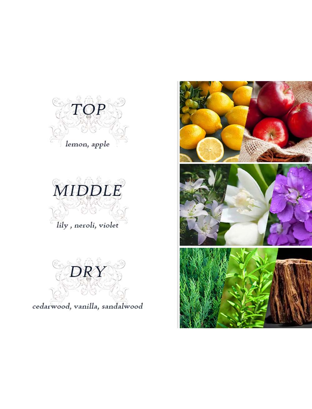 Dear Body Mist for Women, 250ml | Long-Lasting Refreshing Fragrance | Perfect for Daily Use (Dense Flower) DEAR BODY
