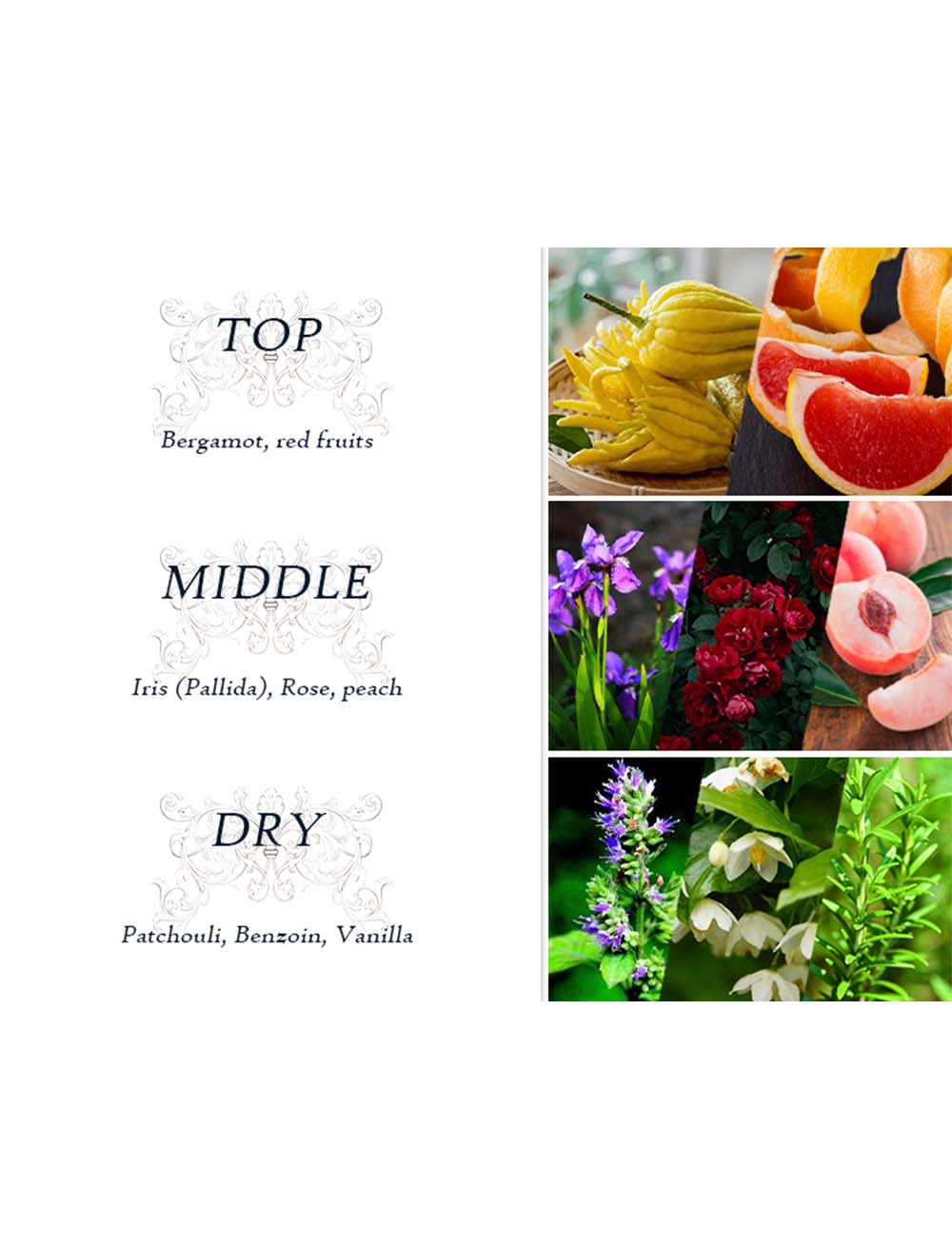 Dear Body Wednesday Fragance Mist 250 ml Dear Body