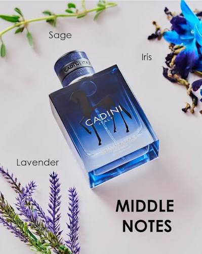 CADINI ITALY ROMAN AFFAIR EDP 100ML CADINI ITALY