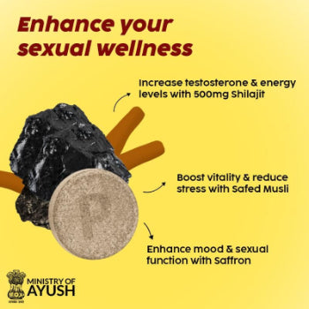 Plix Pure Shilajit Orange Flavour 15N Tablets Plix