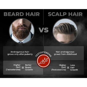 Beardo Beard and Hair Growth Oil - 50 ml Beardo