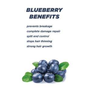 KT Professional Kehairtherapy Keratin Gloss Condtioner 250ml KT Professional