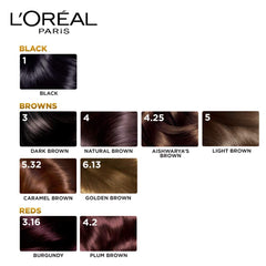 L'Oreal Paris Excellence Creme Hair Color - 5.32 Caramel Brown L'Oreal