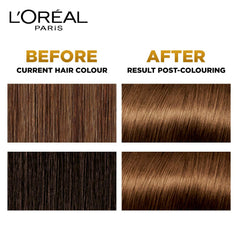 L'Oreal Paris Excellence Creme Hair Color - 6.13 Golden Brown L'Oreal