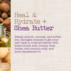 Maui Moisture Revive & Hydrate + Shea Butter Hair Mask Maui