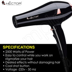 Hector Hair Dryer HT-2500 HECTOR