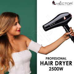 Hector Hair Dryer HT-2500 HECTOR